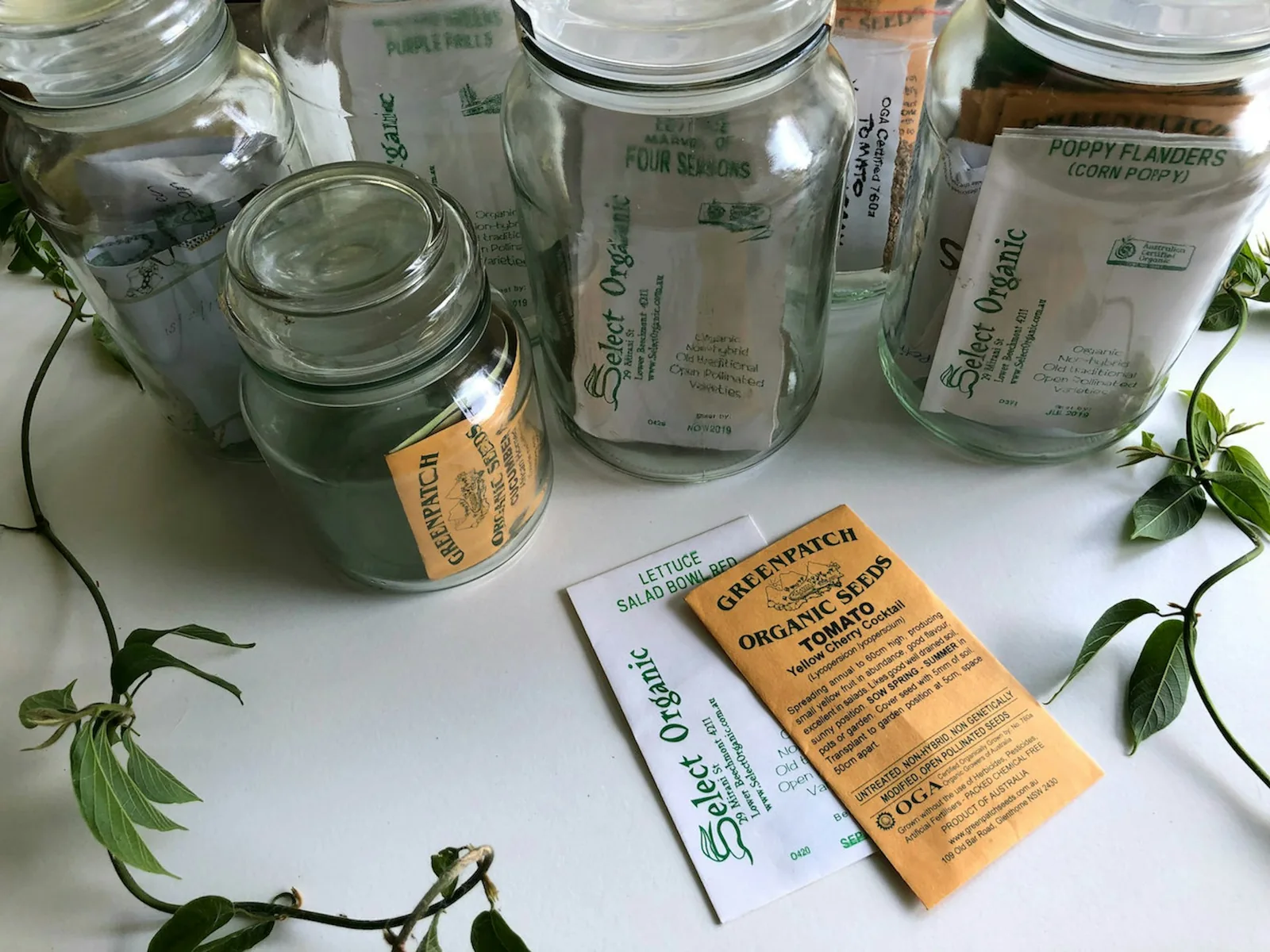 Seed packets in mason jars and on the table