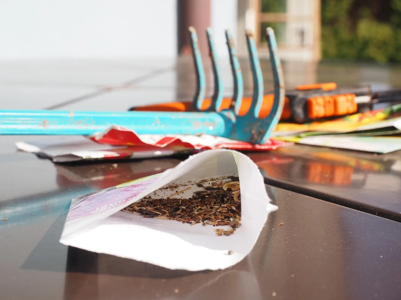 A bag of seeds on a table
