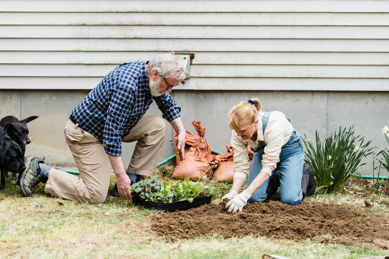 A couple amending the soil with compost