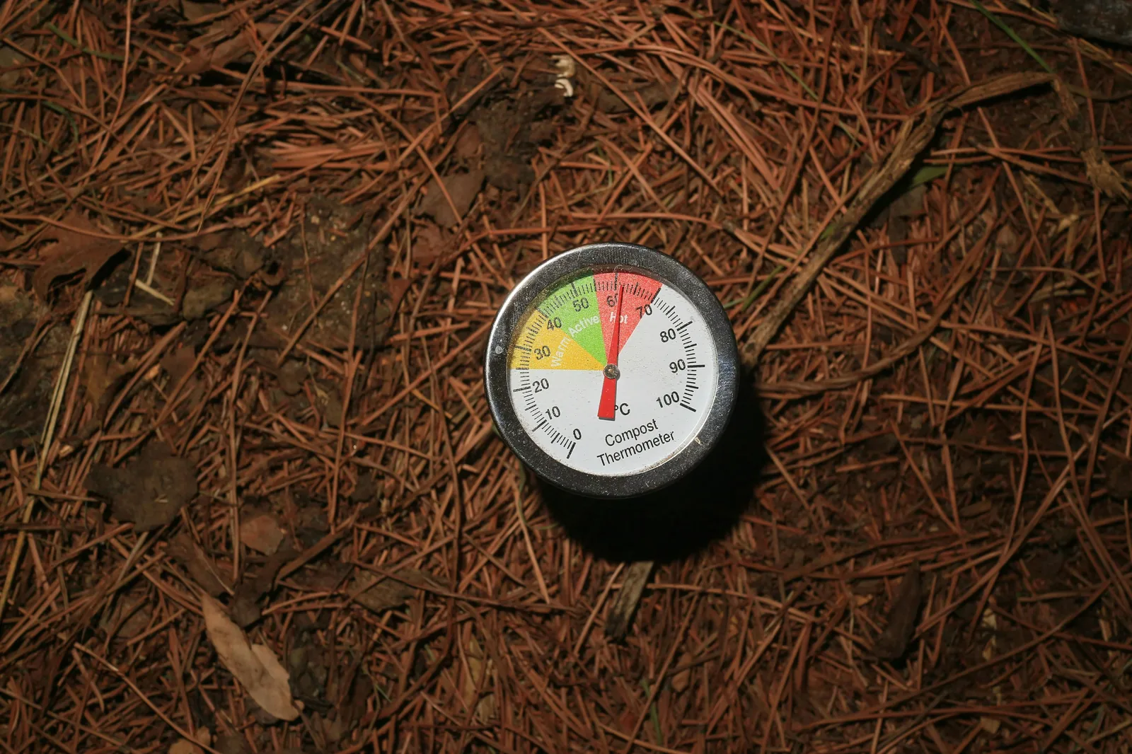 A compost thermometer on a compost pile