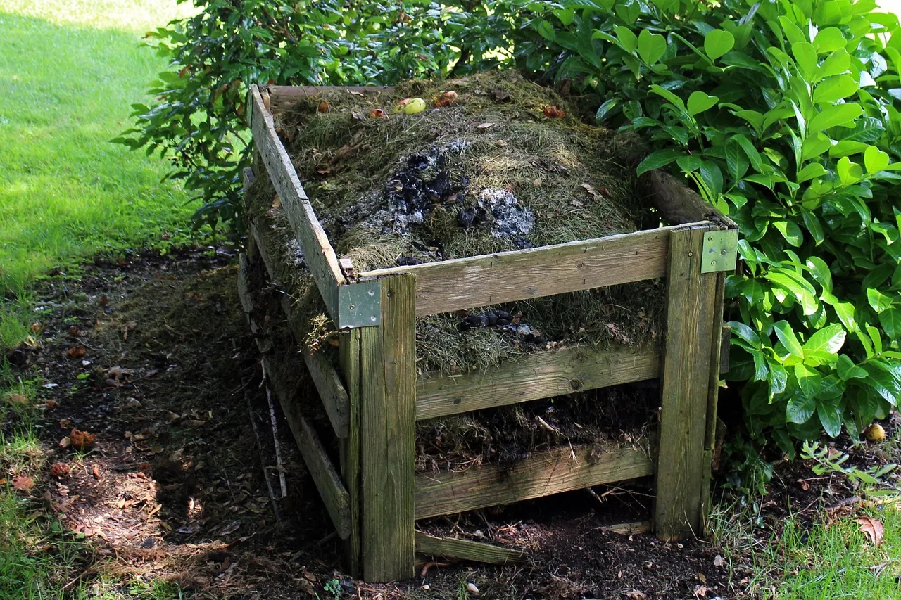 A wooden compost bin in the garden