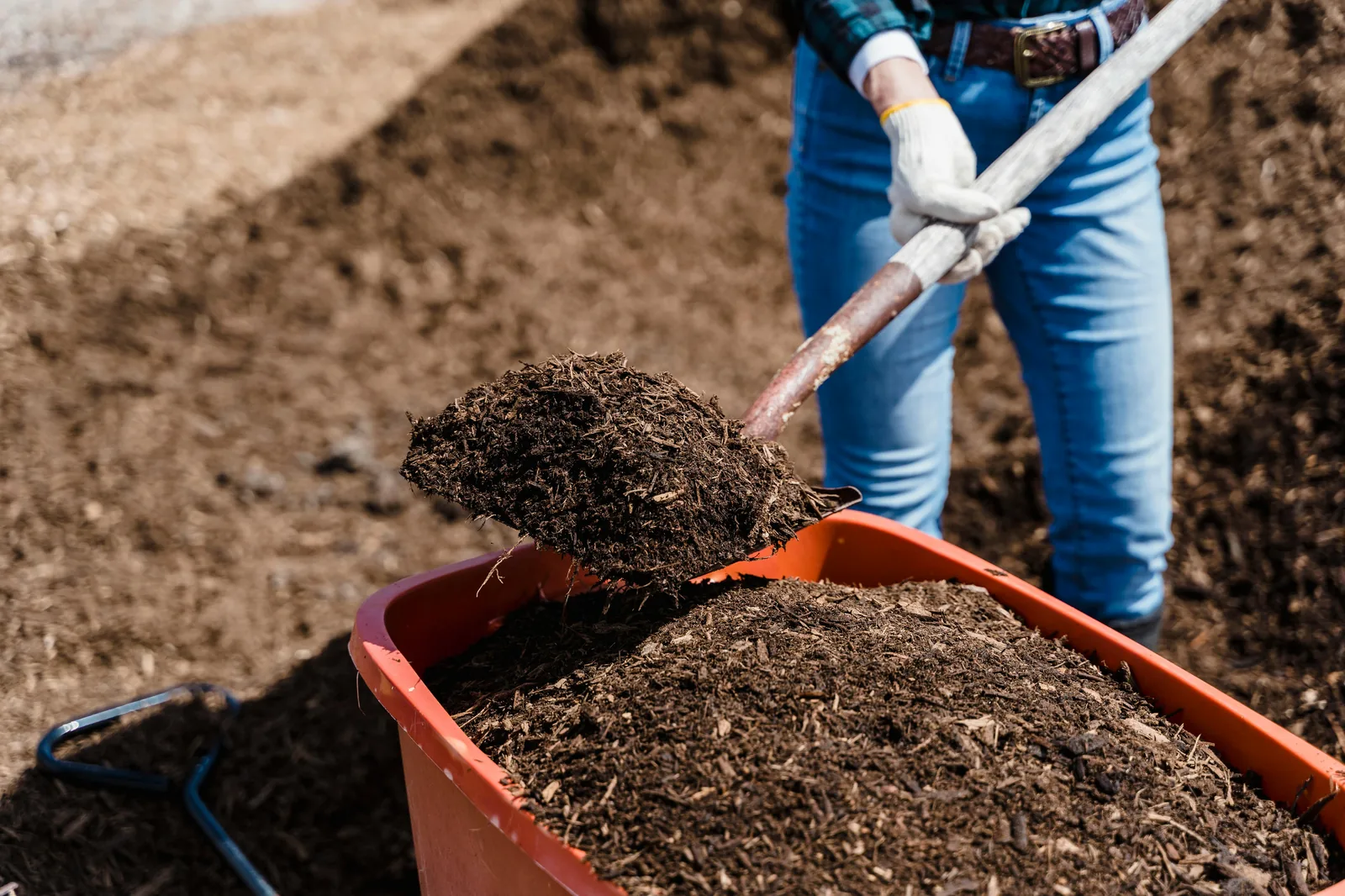 Finished compost in an orange plastic bucket