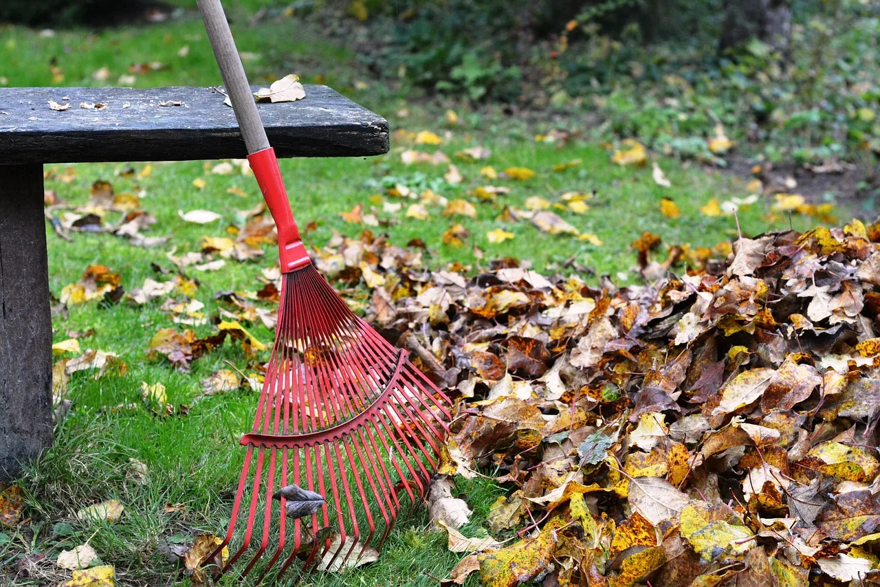 A red rake with a pile of dry fallen leaves