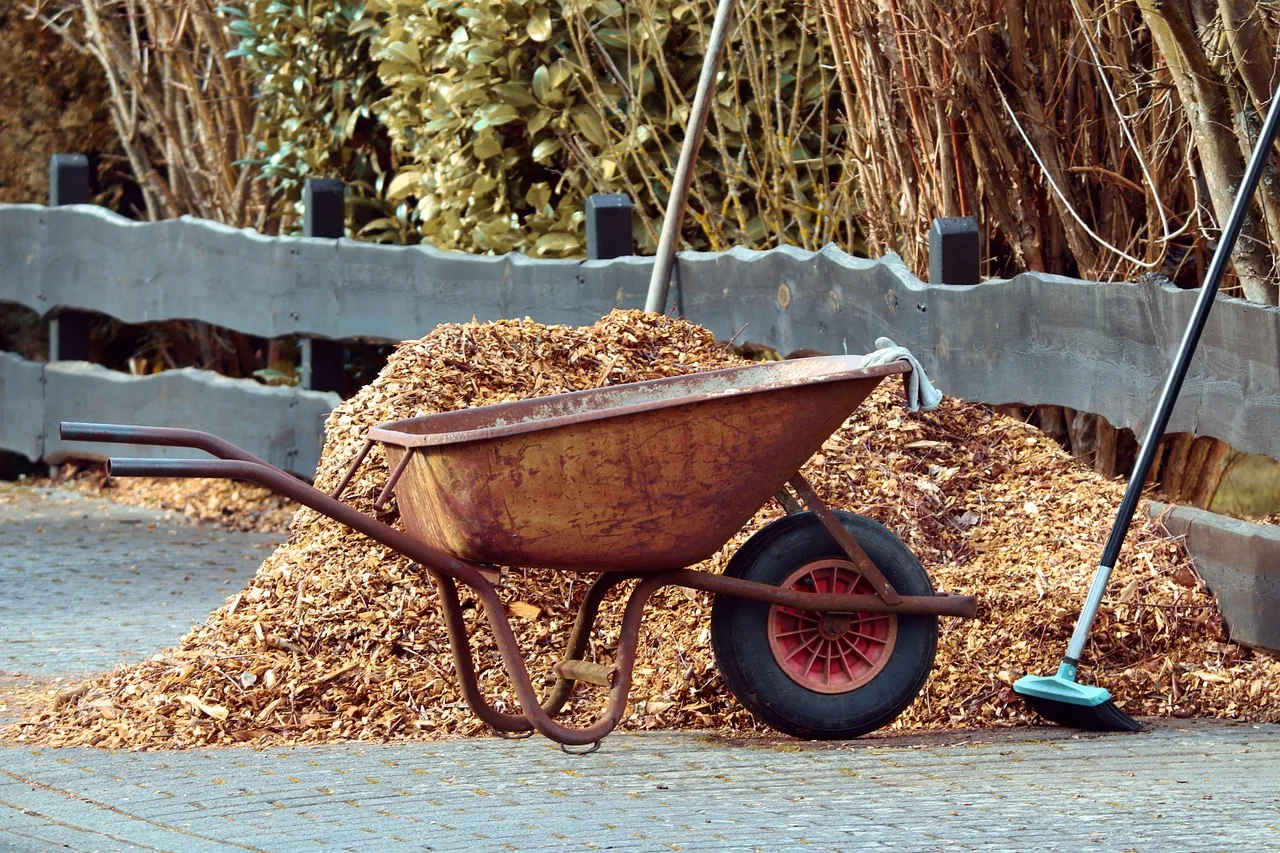 An empty wheelbarrow with mulch on the ground