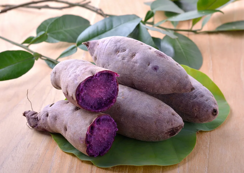 purple-yam