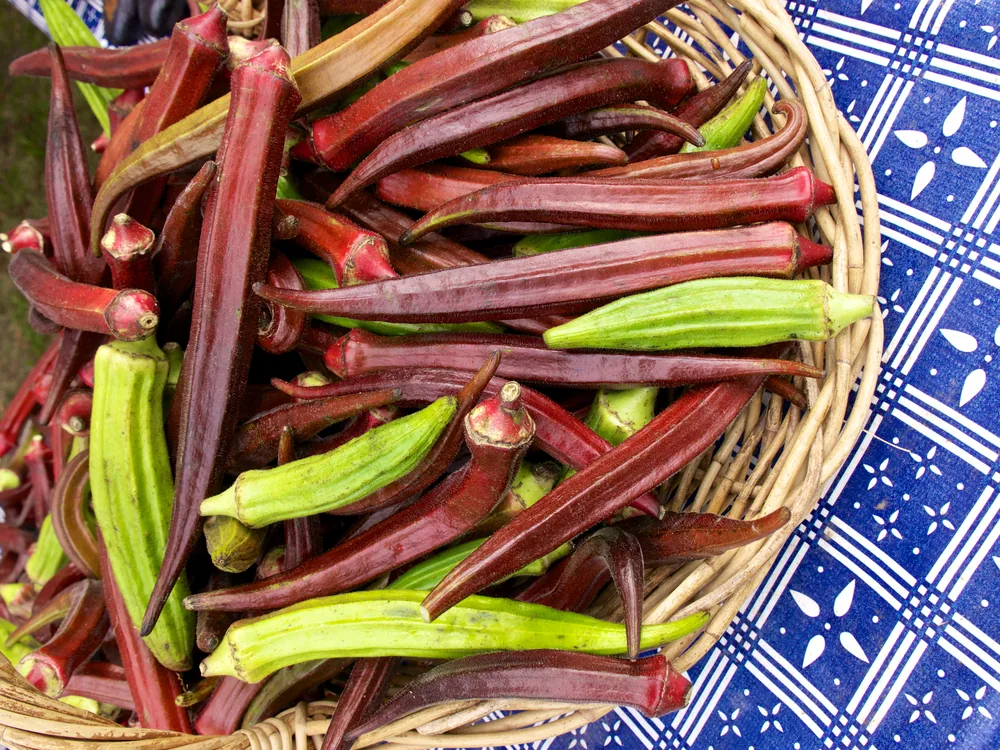 purple-okra