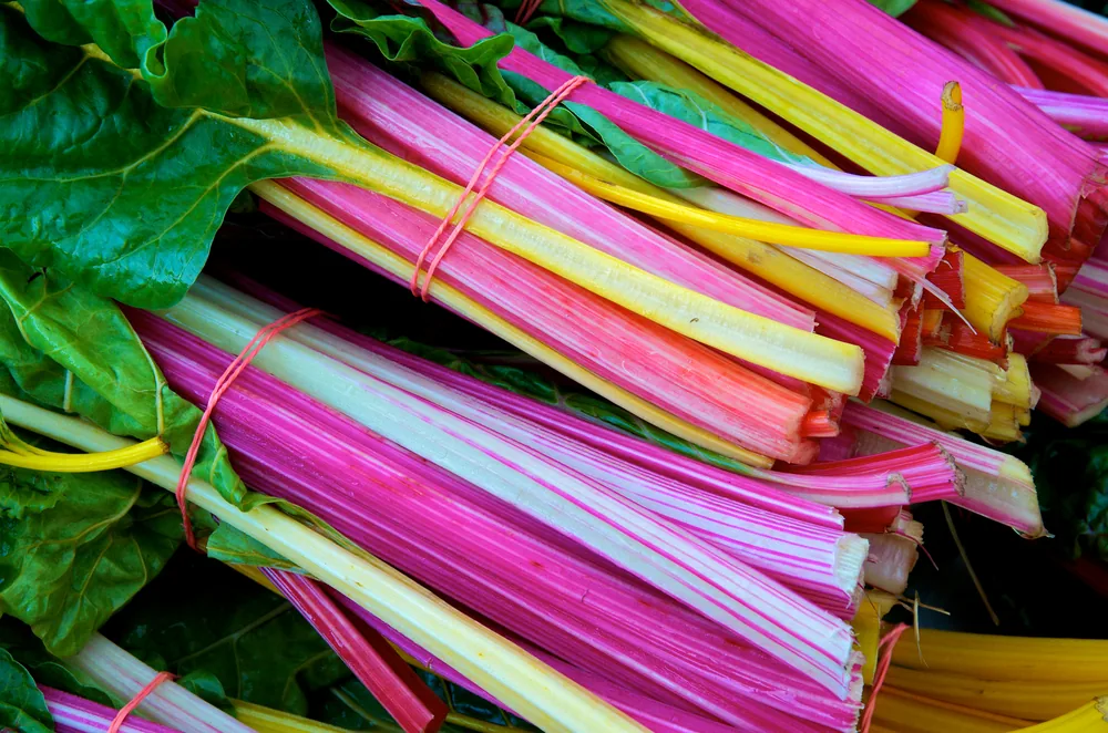 swiss-chard