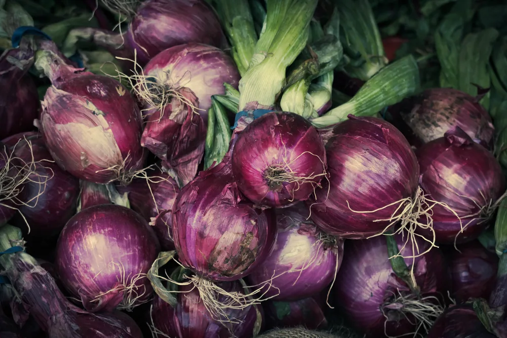 red-onion