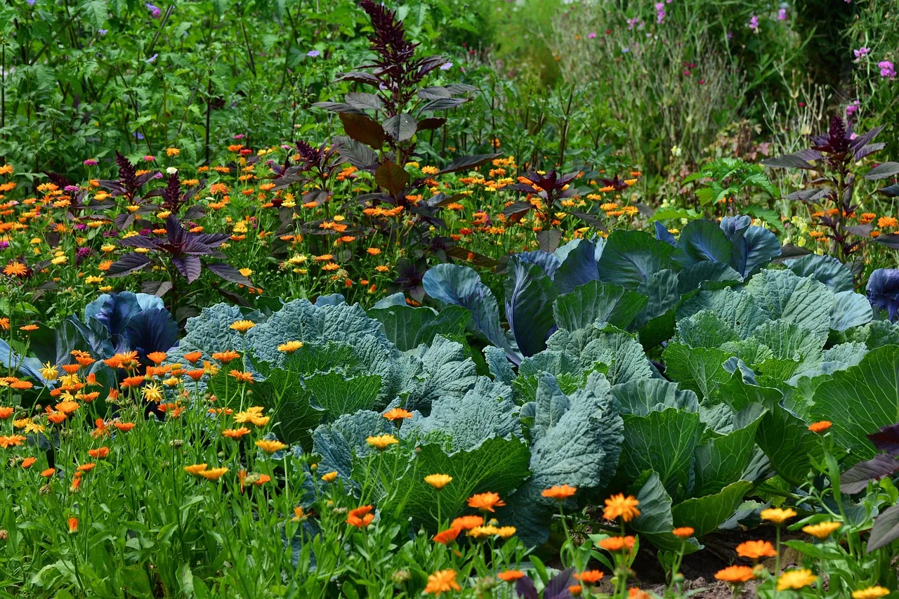 Vegetable garden with flowers