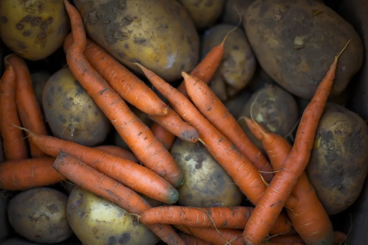Root vegetables potatoes and carrots