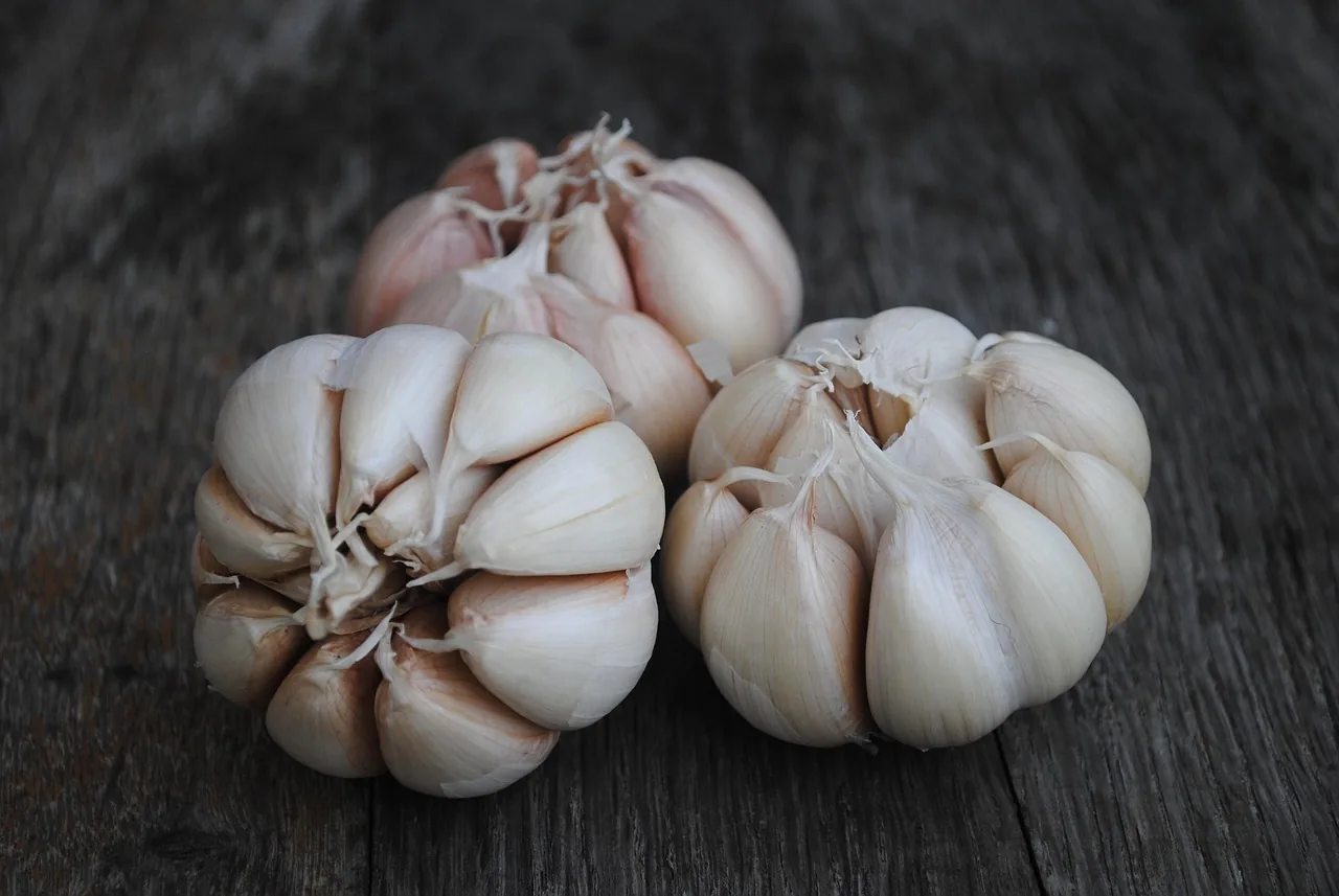Three bulbs of garlic