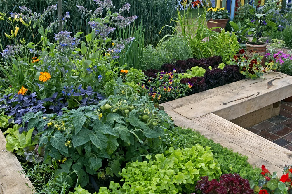 l-shaped raised beds