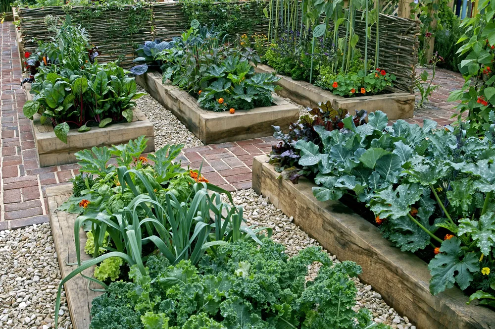 brick paths between raised beds