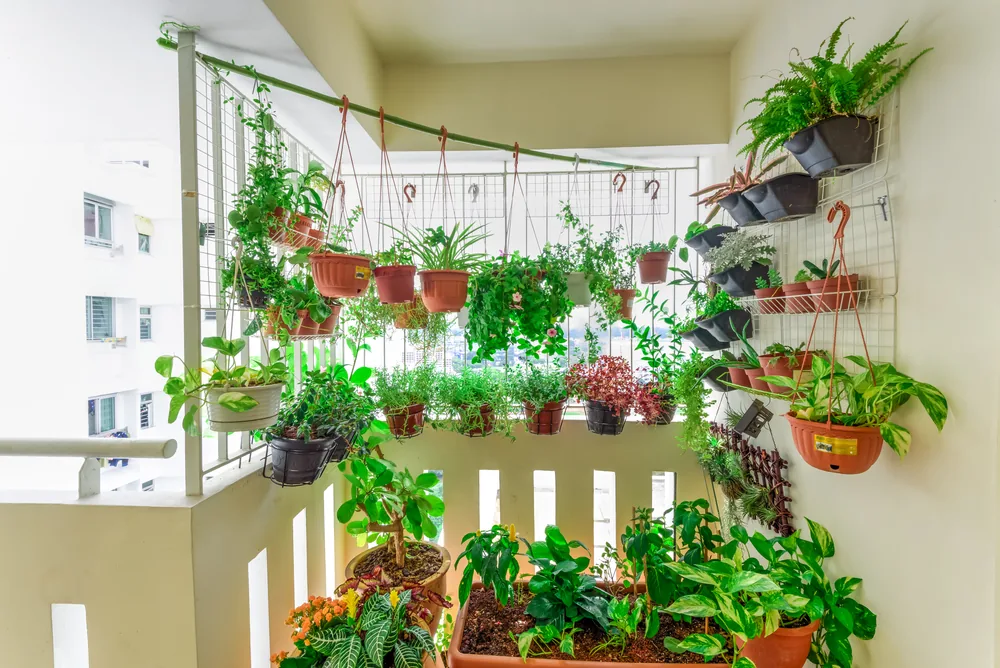 vertical garden on small balcony
