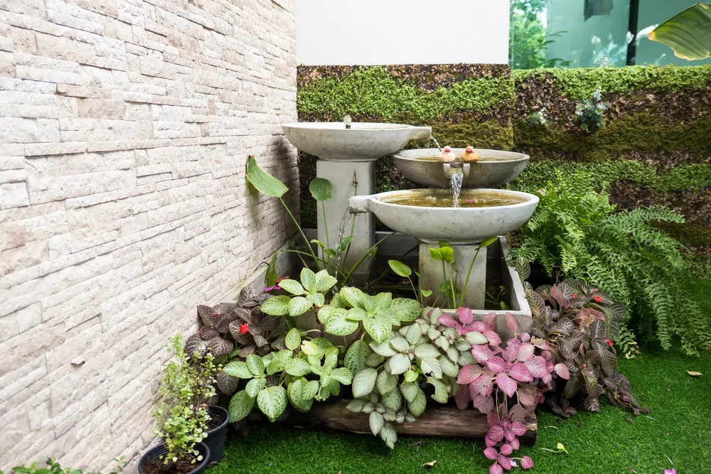 fountain surrounded by plants