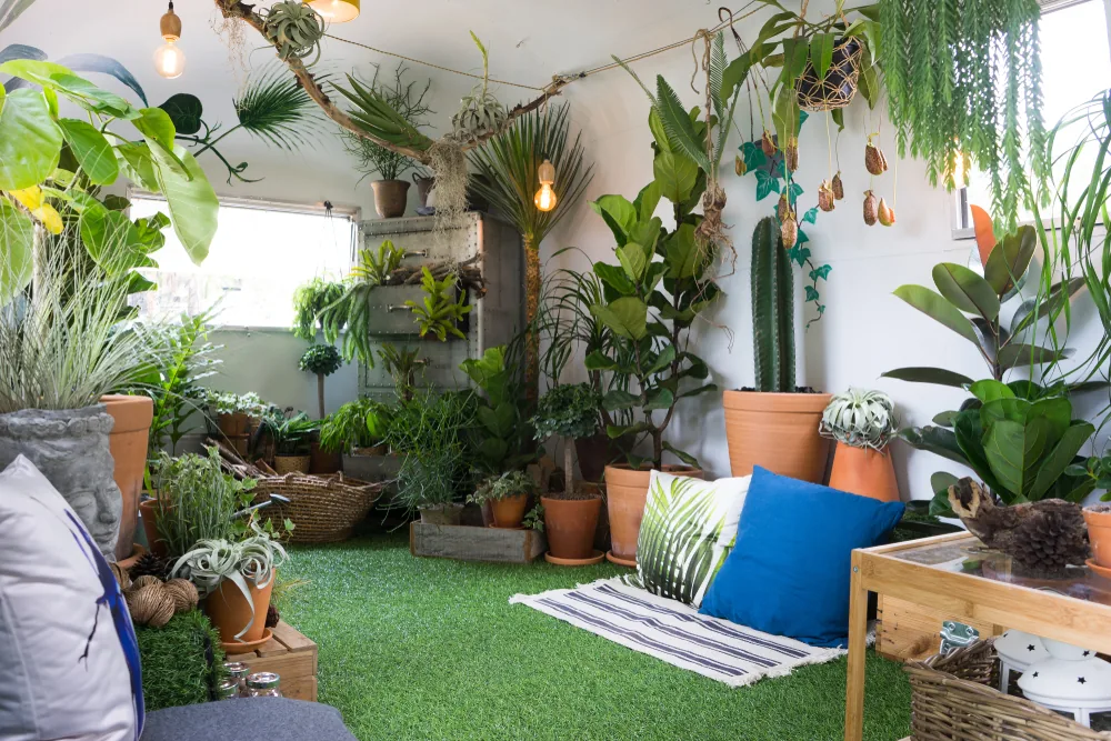 indoor garden with artificial grass