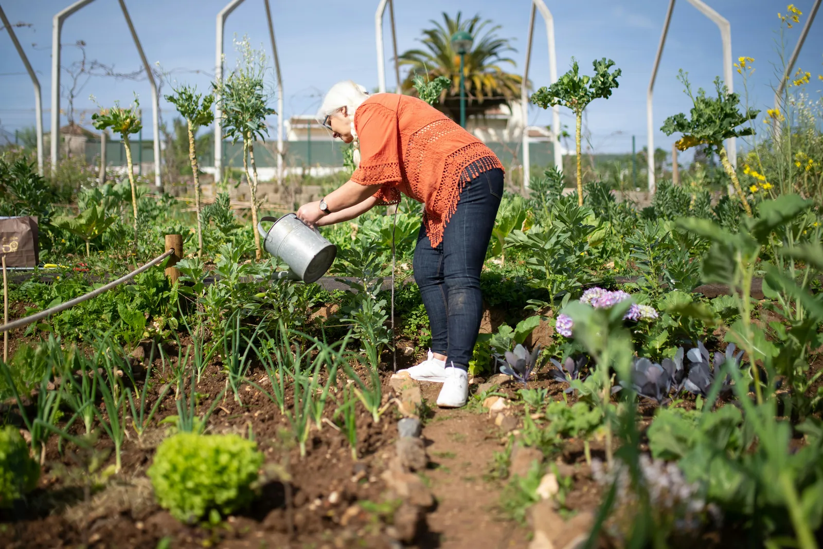 A woman watering plants in the daytime